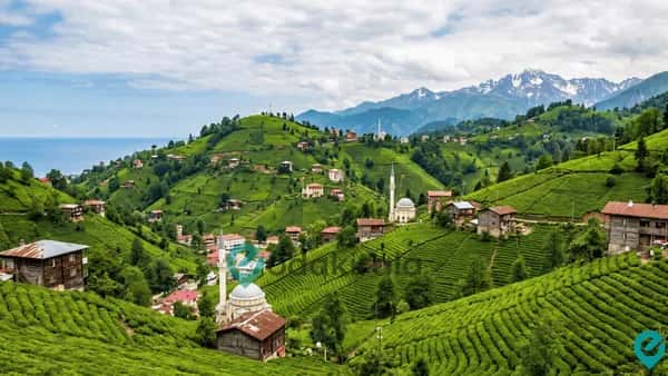Rize