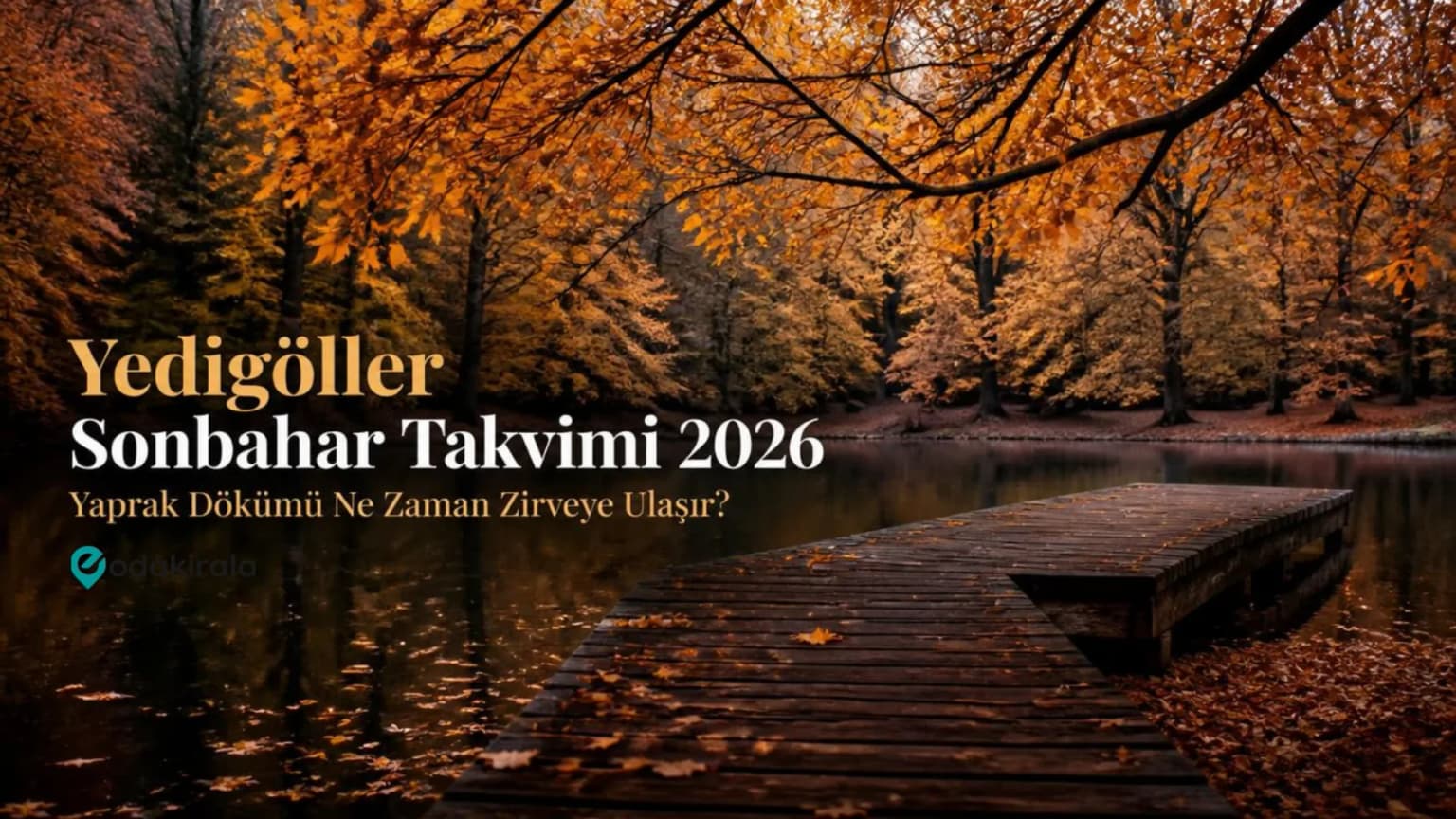 Yedigöller Sonbahar Takvimi 2026 | Yaprak Dökümü Ne Zaman Zirveye Ulaşır?