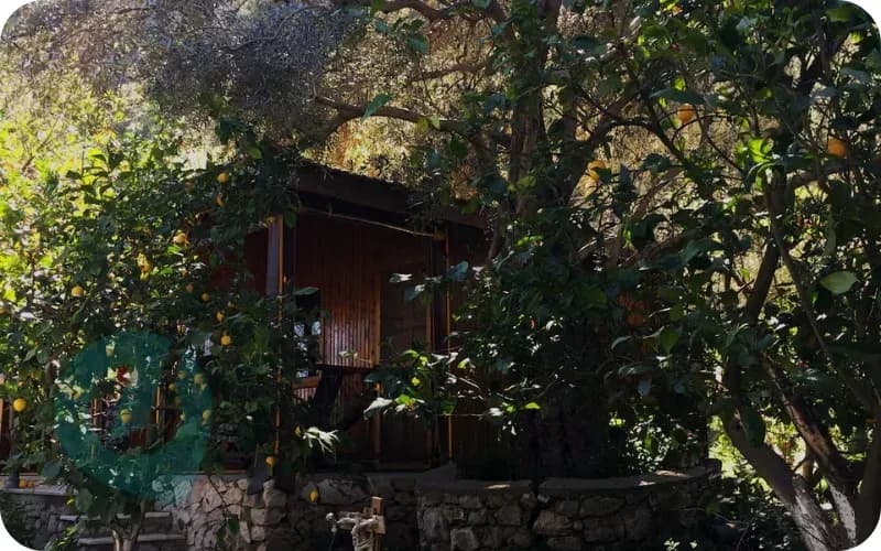 Erzincan Ergan Dağı Yamacında Kış Manzaralı Günlük Kiralık Bungalov