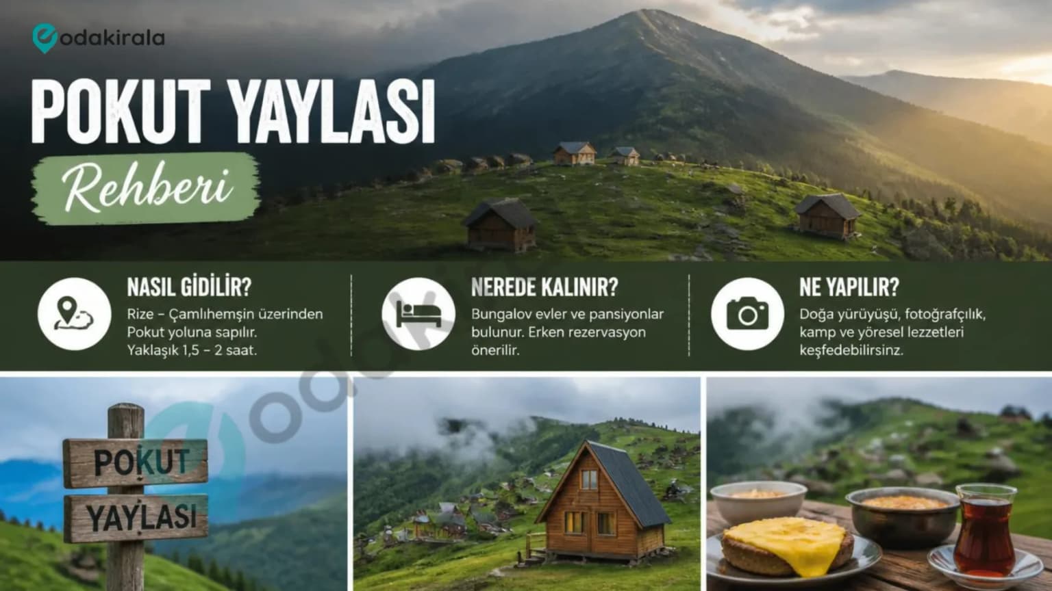 Pokut Yaylası Rehberi | Nasıl Gidilir, Nerede Kalınır ve Ne Yapılır?