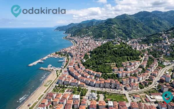 Ordu