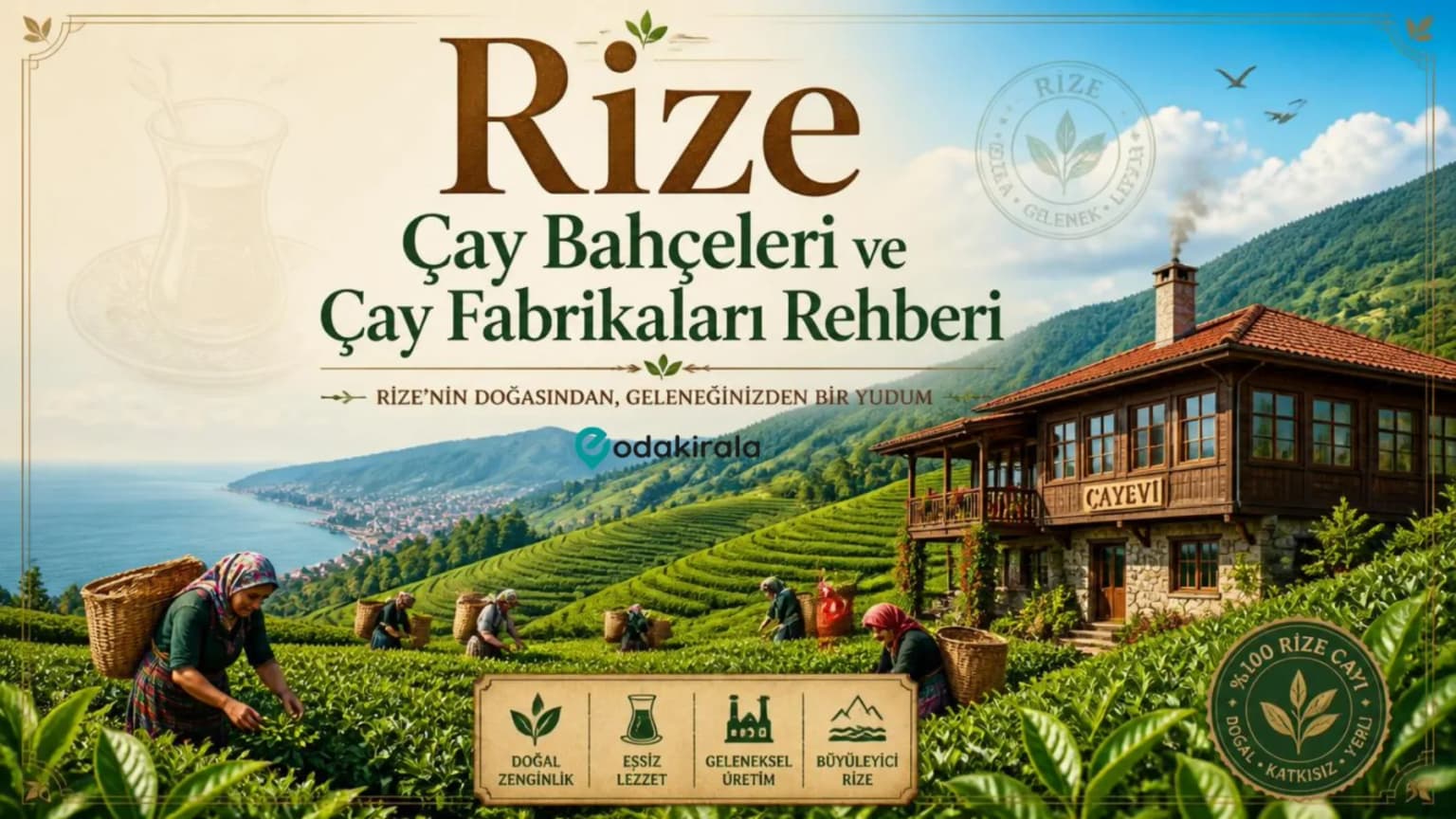 Rize Çay Bahçeleri ve Çay Fabrikaları Rehberi