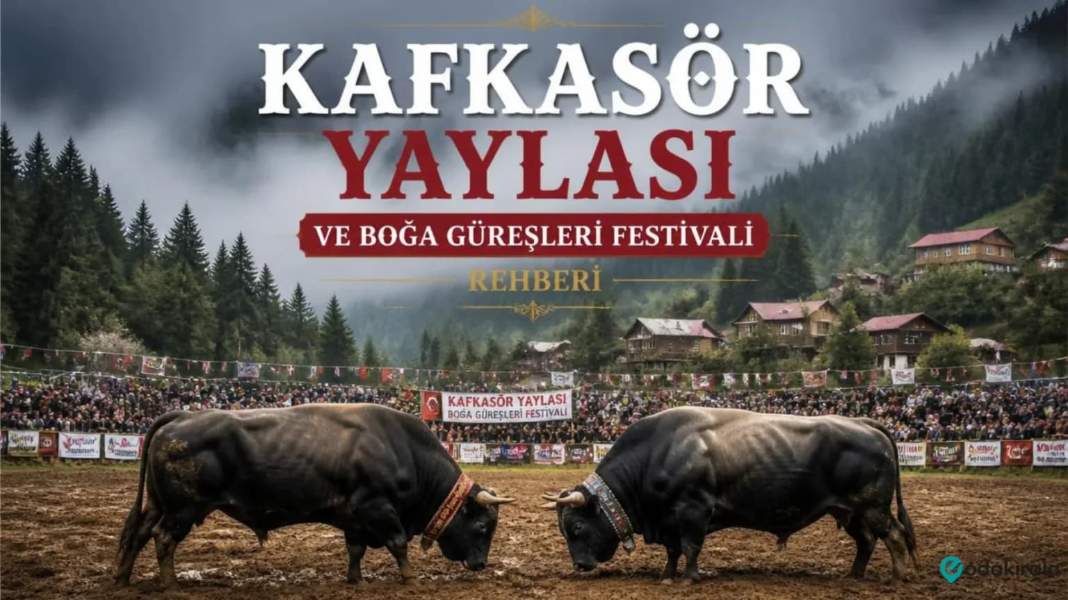 Kafkasör Yaylası ve Boğa Güreşleri Festivali Rehberi